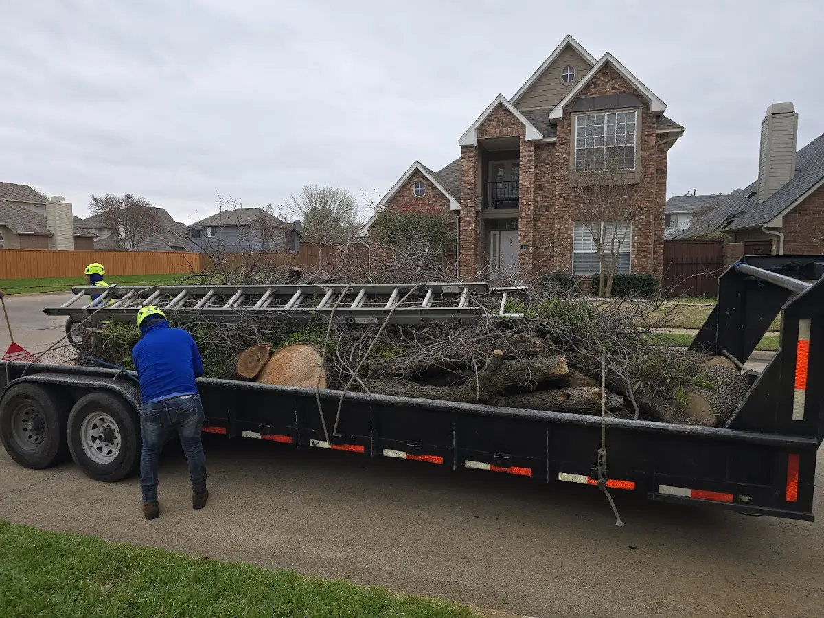 Expert Lot Clearing with proper safety equipment in Granada Hills